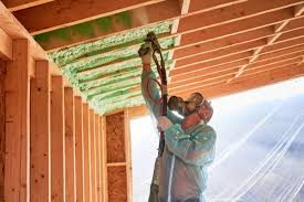 Best Insulation for New Construction  in Robesonia, PA