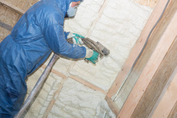 Best Radiant Barrier Insulation  in Robesonia, PA